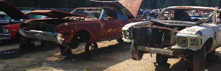 Salvage Yards And The Environment Go Pull It