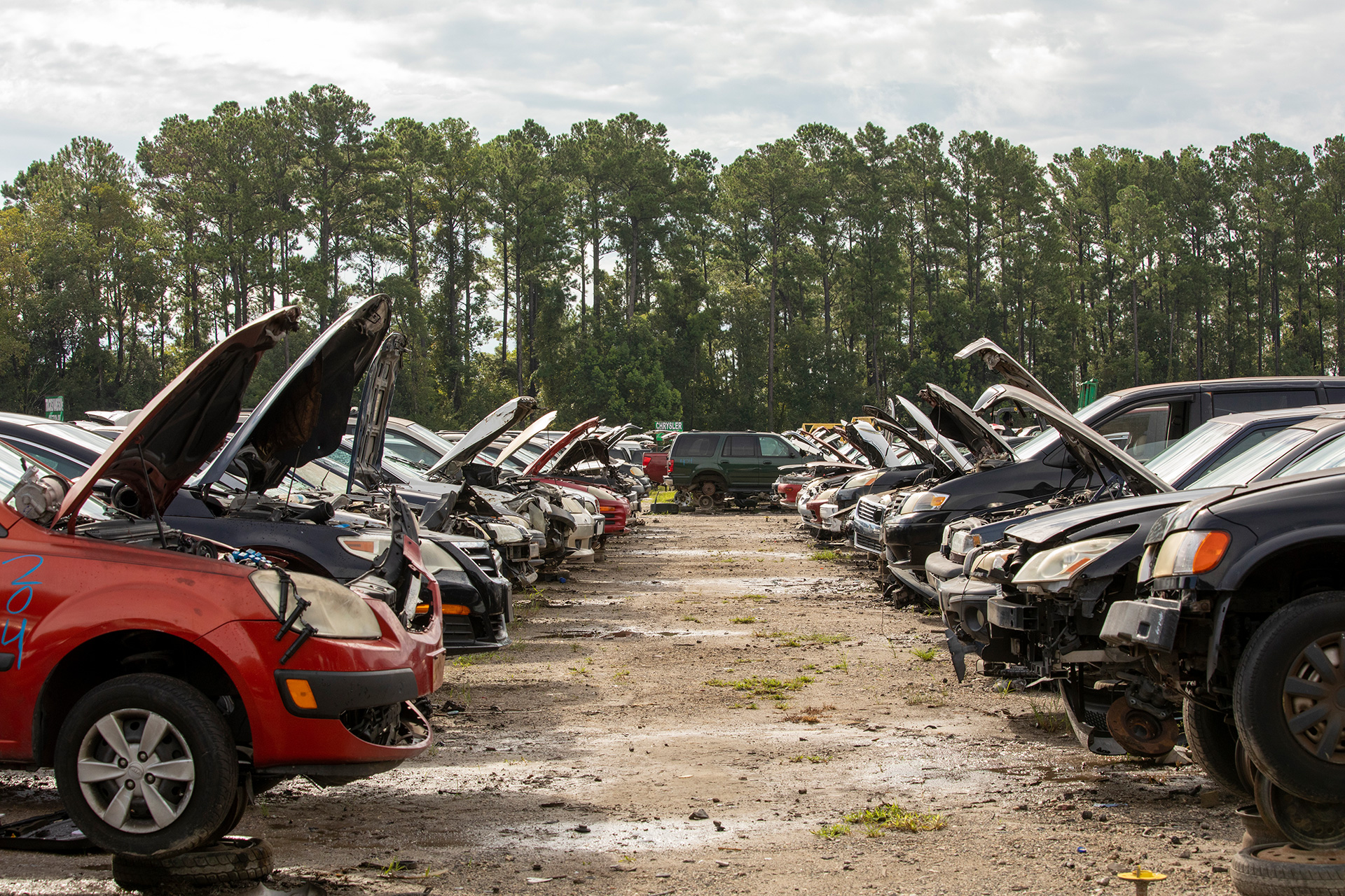 Search Inventory of Quality Used Auto Parts Jacksonville