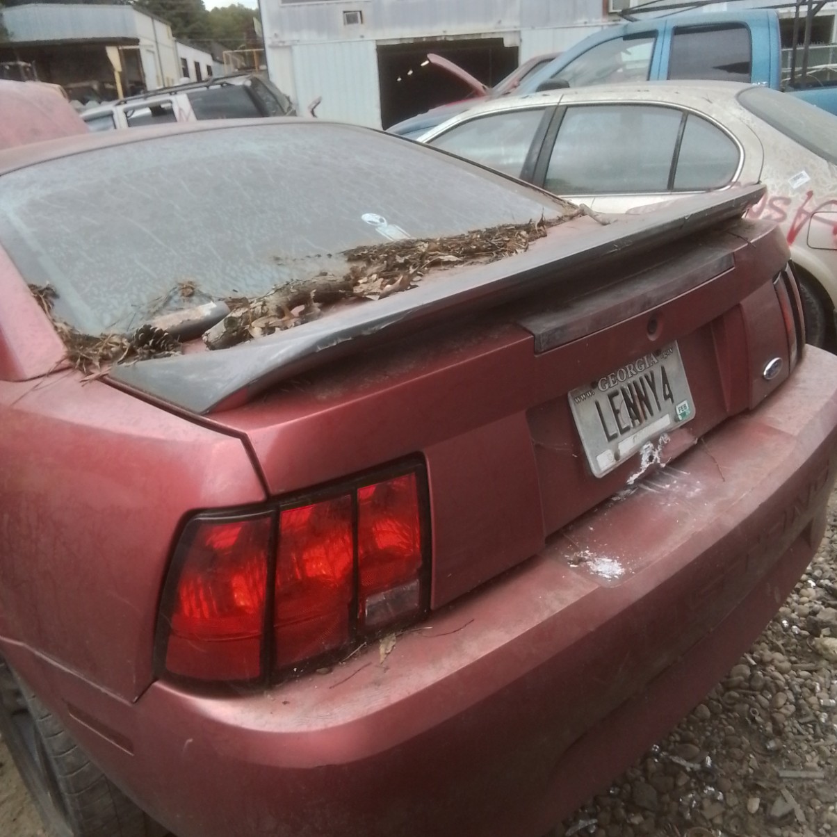 2000 Mustang