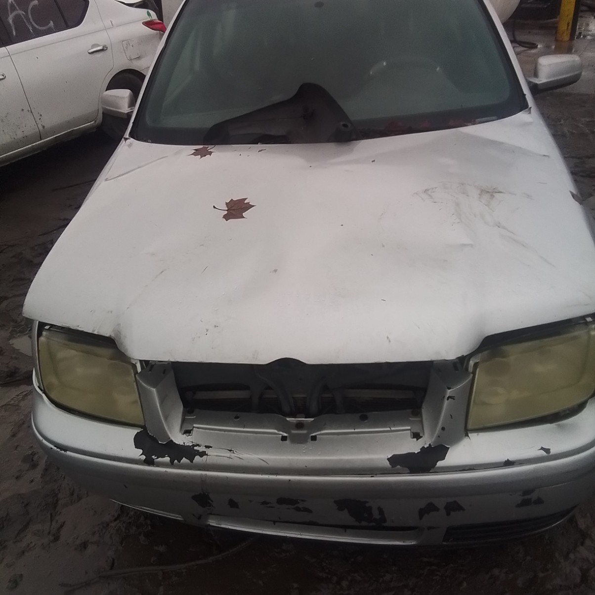 2000 Jetta